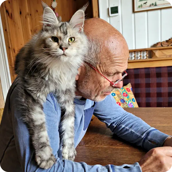 Fellnasen von der Soerheide Hobbyzucht Maine Coon NRW